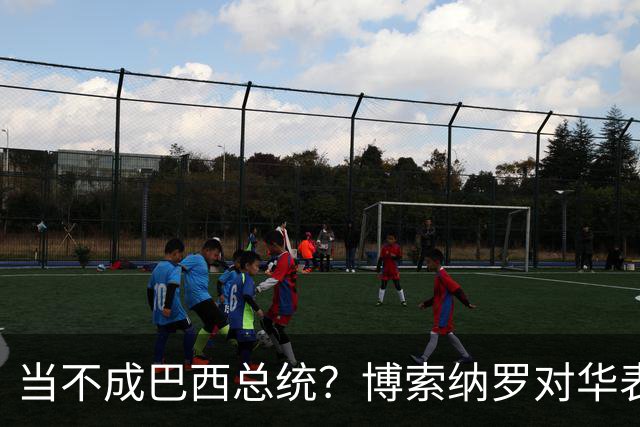 当不成巴西总统？博索纳罗对华表态激起千层浪，竞争对手还有底牌